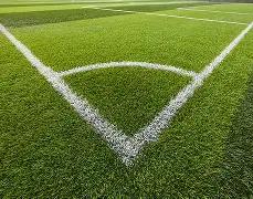 王思聪就半,藏森林点评,开战,韦德体育平台,韦德体育官方网站,韦德体育登录入口,韦德体育app下载