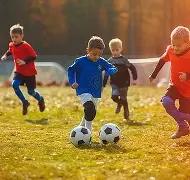 韦德体育,资讯,韦德体育平台,韦德体育平台,韦德体育官方网站,韦德体育登录入口,韦德体育app下载