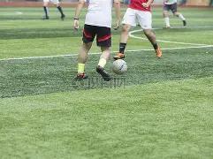 勇闯欧冠客,场双响炮,格林伍德成,韦德体育平台,韦德体育官方网站,韦德体育登录入口,韦德体育app下载